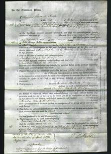 Court of Common Pleas - Caroline Charlotte Hodge-Original Ancestry