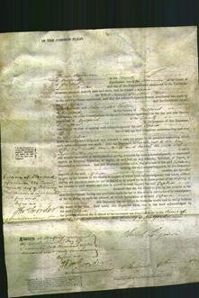 Court of Common Pleas - Sophia Stone-Original Ancestry