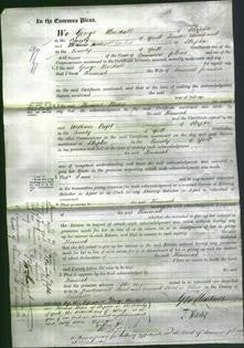 Court of Common Pleas - Hannah Pearson-Original Ancestry