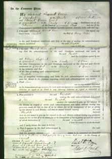 Court of Common Pleas - Elizabeth Ralph-Original Ancestry