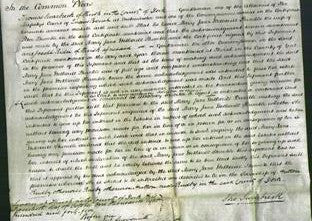 Court of Common Pleas - Mary Jane Wetherill Taylor Humble-Original Ancestry