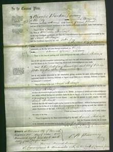 Court of Common Pleas - Sarah Stockings-Original Ancestry