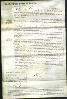 Court of Common Pleas - Elizabeth Hills and Isabella Maston-Original Ancestry