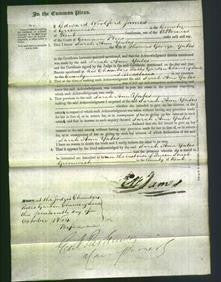 Court of Common Pleas - Sarah Ann Yates-Original Ancestry