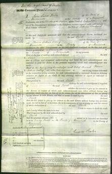 Court of Common Pleas - Sarah Hartland-Original Ancestry