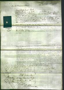 Court of Common Pleas - Sarah Matilda Gray-Original Ancestry