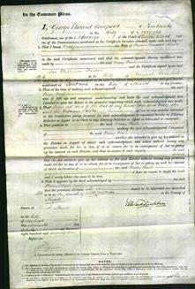 Court of Common Pleas - Mary Hosle-Original Ancestry