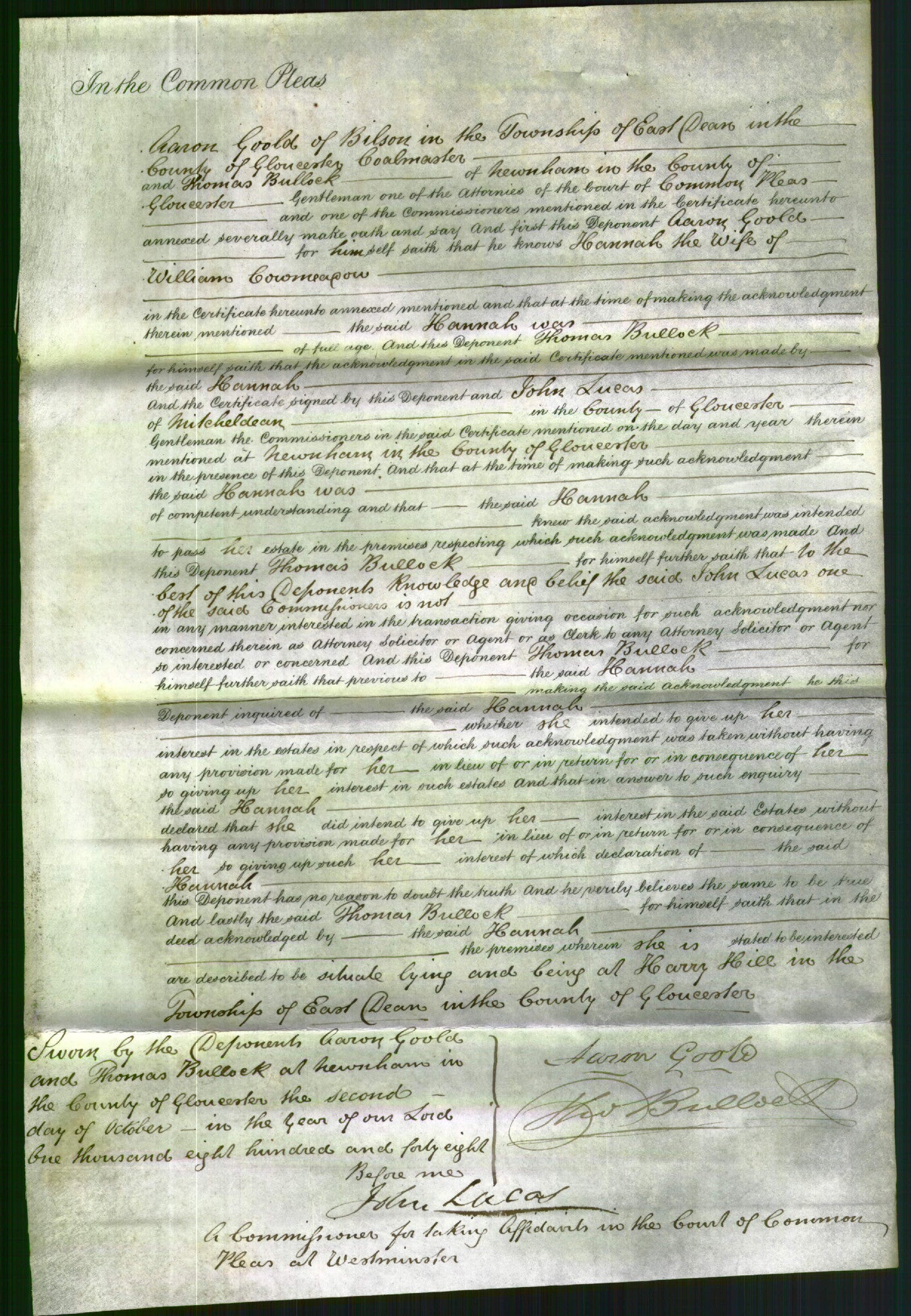 Court of Common Pleas - Hannah Cowmeadow-Original Ancestry