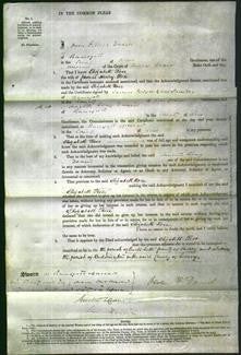 Court of Common Pleas - Elizabeth Rose-Original Ancestry