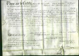 Deed by Married Women - Elizabeth Taylor-Original Ancestry