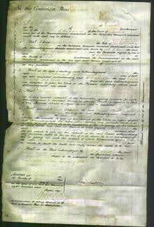 Court of Common Pleas - Frances Brookes and Agnes Porritt-Original Ancestry