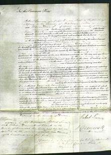 Court of Common Pleas - Margaret Wareham-Original Ancestry