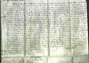 Court of Common Pleas - Eliza Brabbins-Original Ancestry