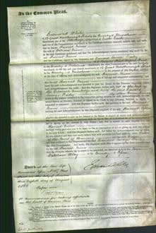 Court of Common Pleas - Harriet Niven-Original Ancestry