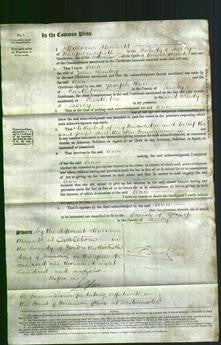 Court of Common Pleas - Ann Hanley-Original Ancestry