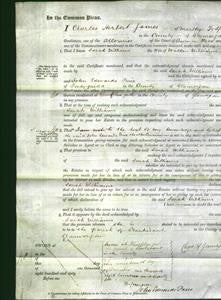 Court of Common Pleas - Sarah Williams-Original Ancestry