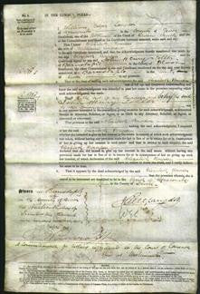 Court of Common Pleas - Elizabeth Bowden Andrews-Original Ancestry