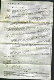 Court of Common Pleas - Margaret Sarah Marston-Original Ancestry