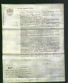 Court of Common Pleas - Mary Moulting-Original Ancestry