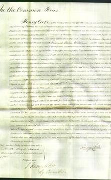 Court of Common Pleas - Belinda Limmer-Original Ancestry