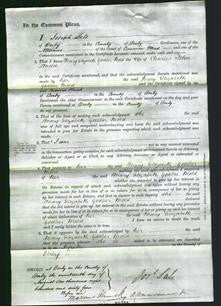 Court of Common Pleas - Mary Elizabeth Godber Mold-Original Ancestry