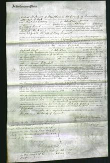 Court of Common Pleas - Elizabeth Longworth-Original Ancestry