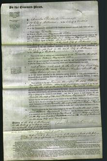 Court of Common Pleas - Priscilla Lilton-Original Ancestry