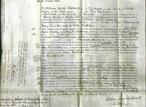 Court of Common Pleas - Sarah Siddeley and Mary Jane Walkden-Original Ancestry