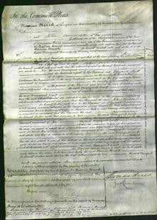 Court of Common Pleas - Margaret Swift-Original Ancestry