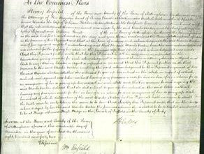 Court of Common Pleas - Ursula Norton-Original Ancestry