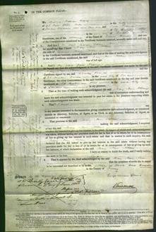 Court of Common Pleas - Mary Ann Allbon-Original Ancestry