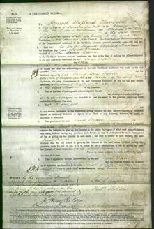 Court of Common Pleas - Sarah Moxon Runton-Original Ancestry