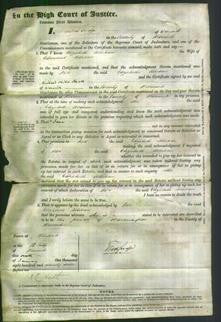 Court of Common Pleas - Elizabeth Alliban-Original Ancestry