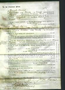 Court of Common Pleas - Elizabeth Russell-Original Ancestry