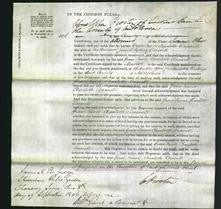 Court of Common Pleas - Grace Trevor Charlotte Darvell-Original Ancestry