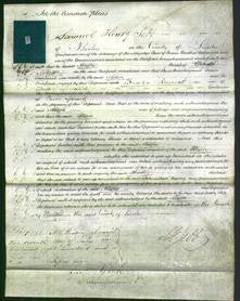 Court of Common Pleas - Maria Abbott-Original Ancestry