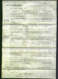 Court of Common Pleas - Frances Isabella Twynam-Original Ancestry