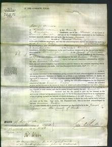 Court of Common Pleas - Emma Watson-Original Ancestry