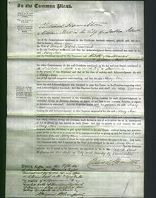 Court of Common Pleas - Mary Ann Maillard-Original Ancestry