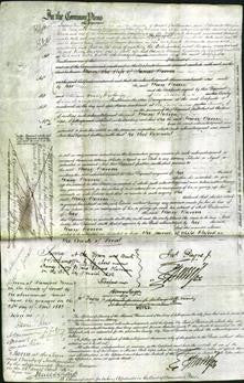 Court of Common Pleas - Mary Harren-Original Ancestry