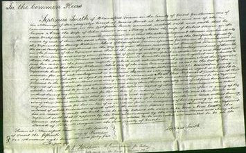 Court of Common Pleas - Ann Flower and Mary Anne Flower-Original Ancestry