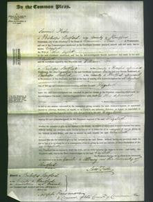 Court of Common Pleas - Elizabeth Aylott-Original Ancestry