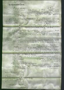 Court of Common Pleas - Mary Stone and Hannah Towerton-Original Ancestry