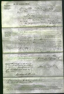 Court of Common Pleas - Jane Miles-Original Ancestry