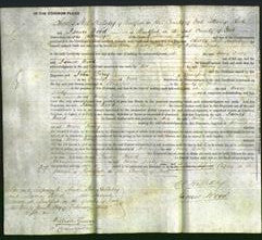 Court of Common Pleas - Mary Denby-Original Ancestry