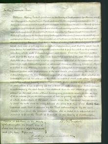 Court of Common Pleas - Sarah Ann Green-Original Ancestry