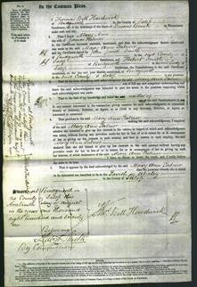 Court of Common Pleas - Mary Ann Palmer-Original Ancestry