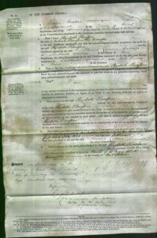 Court of Common Pleas - Elizabeth Harrisson-Original Ancestry
