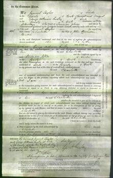 Court of Common Pleas - Charlotte Beattie-Original Ancestry