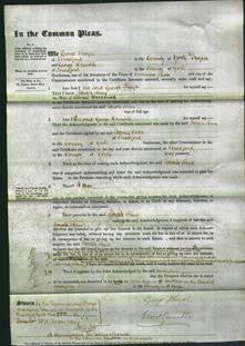 Court of Common Pleas - Sarah Ann Woodhead-Original Ancestry